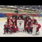 VIAHA North Island Champions Female U11C
